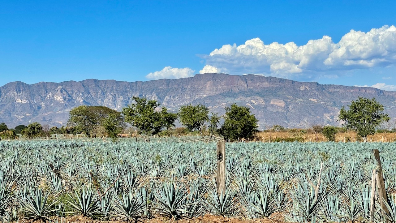 Jalisco