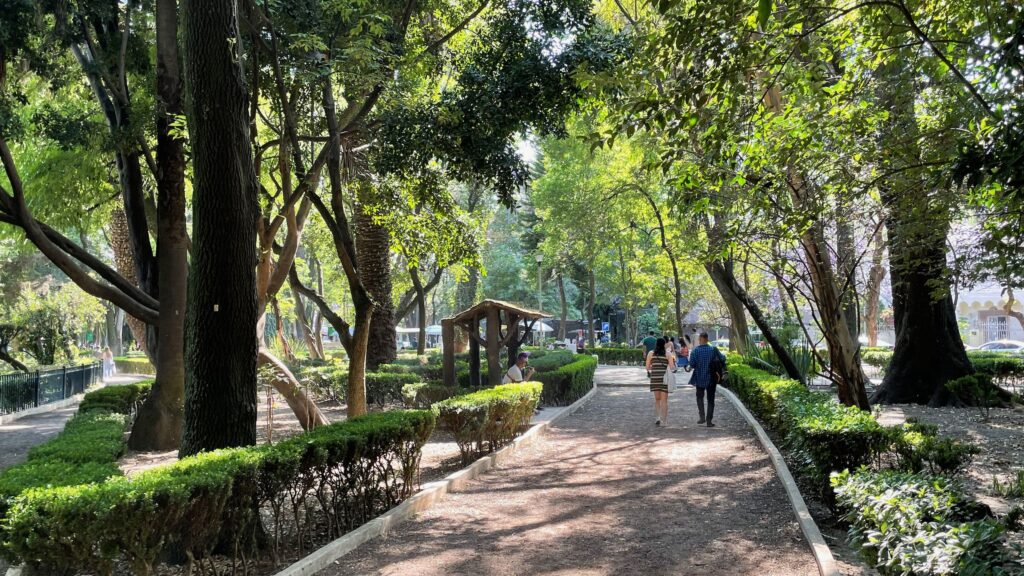 A Shady Path in Parque Mexico