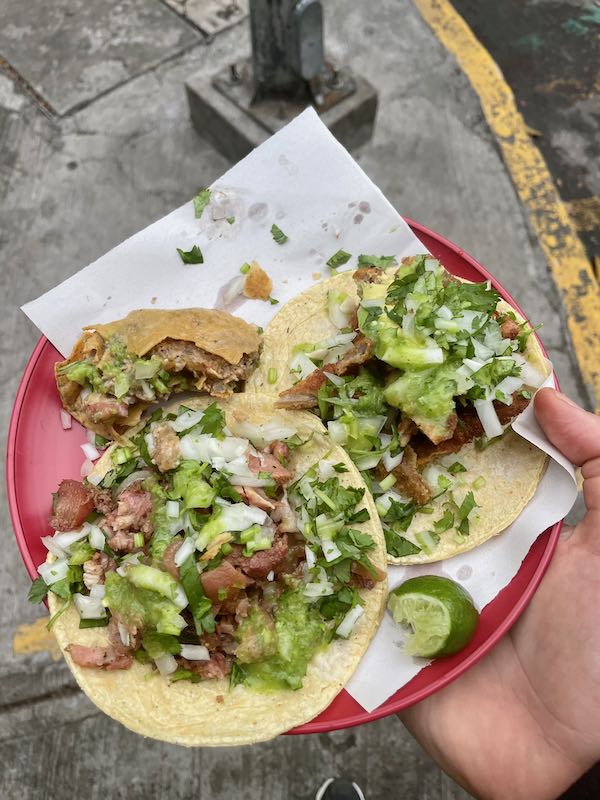 Tacos de sesos, carnitas surtidas, y milanesa