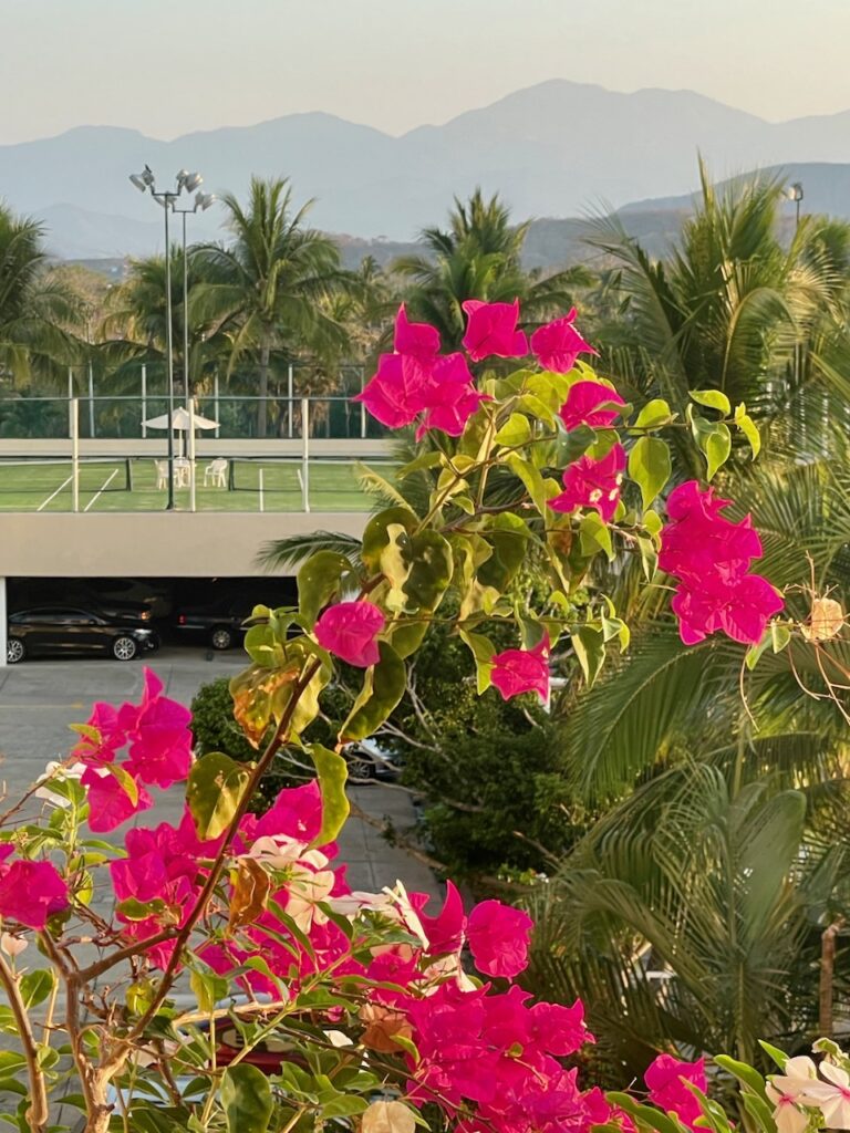 Bugambilias Tennis Courts and Mountains Monarca Ixtapa