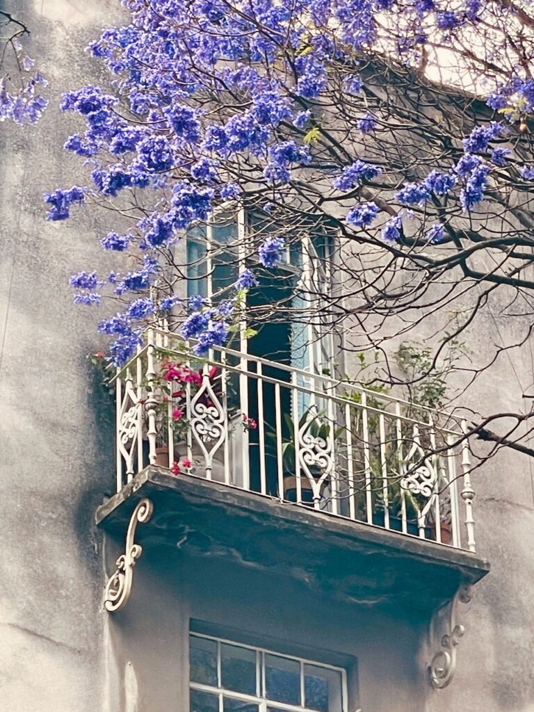 Jacaranda Balcony