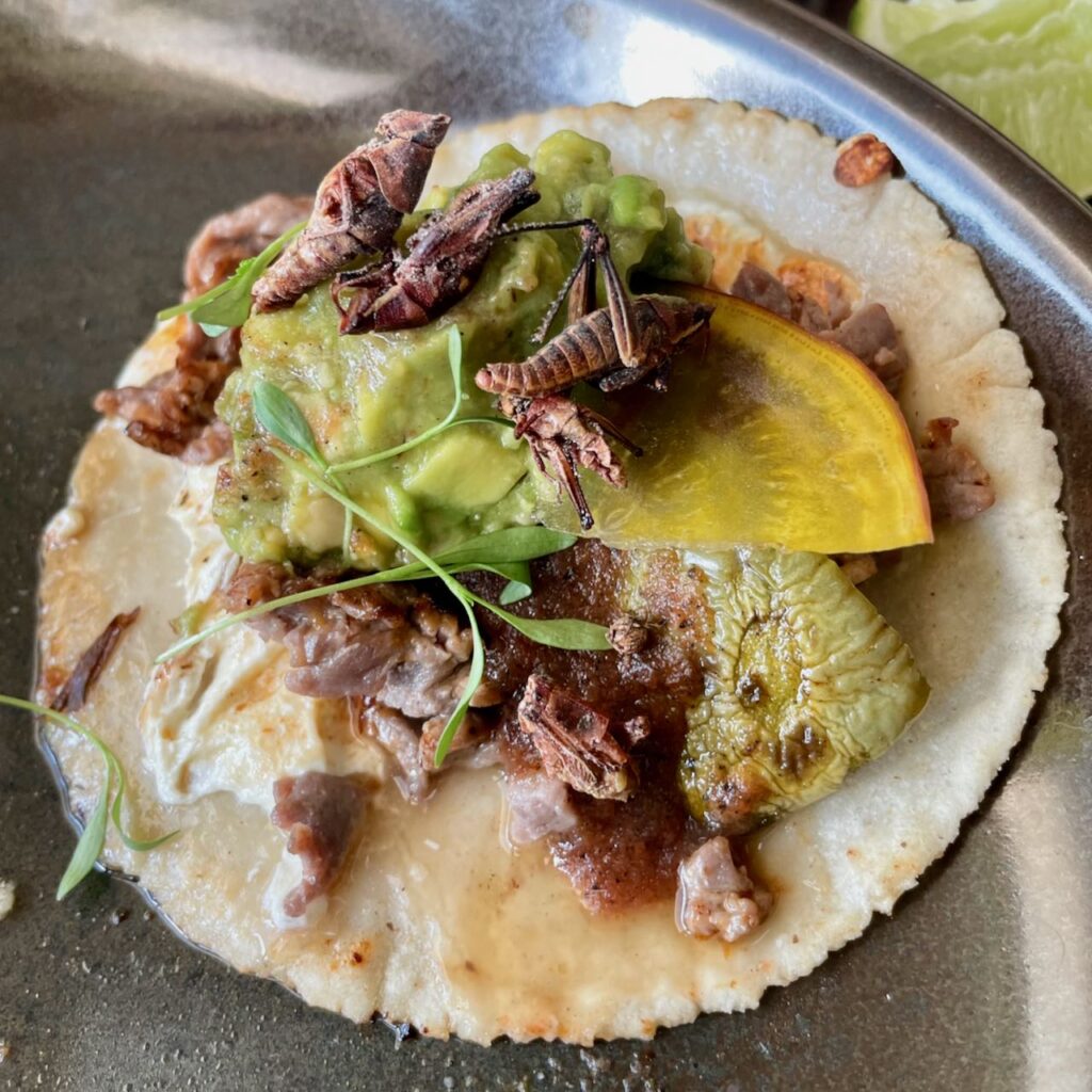 Tacos with chapulines (grasshoppers) at La Veladora