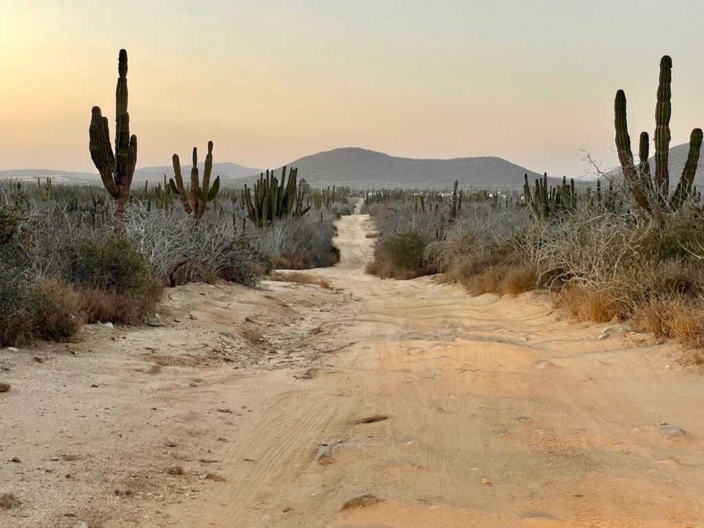 Bumpy road leading out from Playa Las Palmas