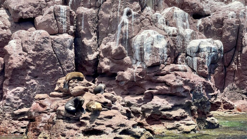 La Lobera Sea Lions on Rocks