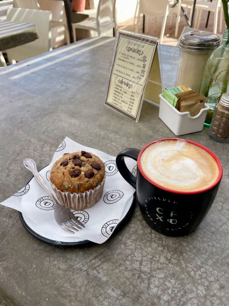 Pumpkin Chocolate Chip Muffin and Americano CAFELIX