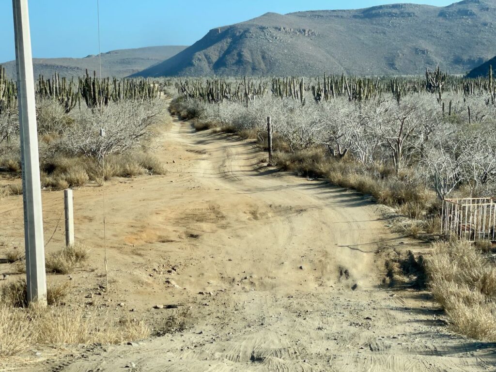 The road to Playa Las Palmas