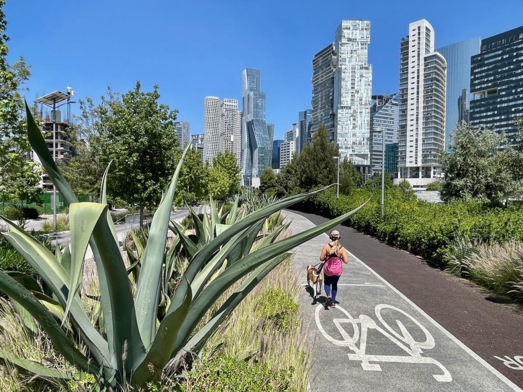 Biking and Running Path Santa Fe CDMX