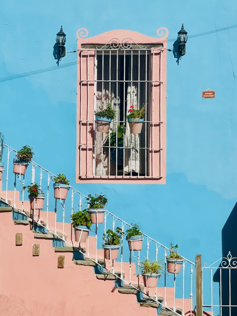 Bright potted window and staircase, Guanajuato