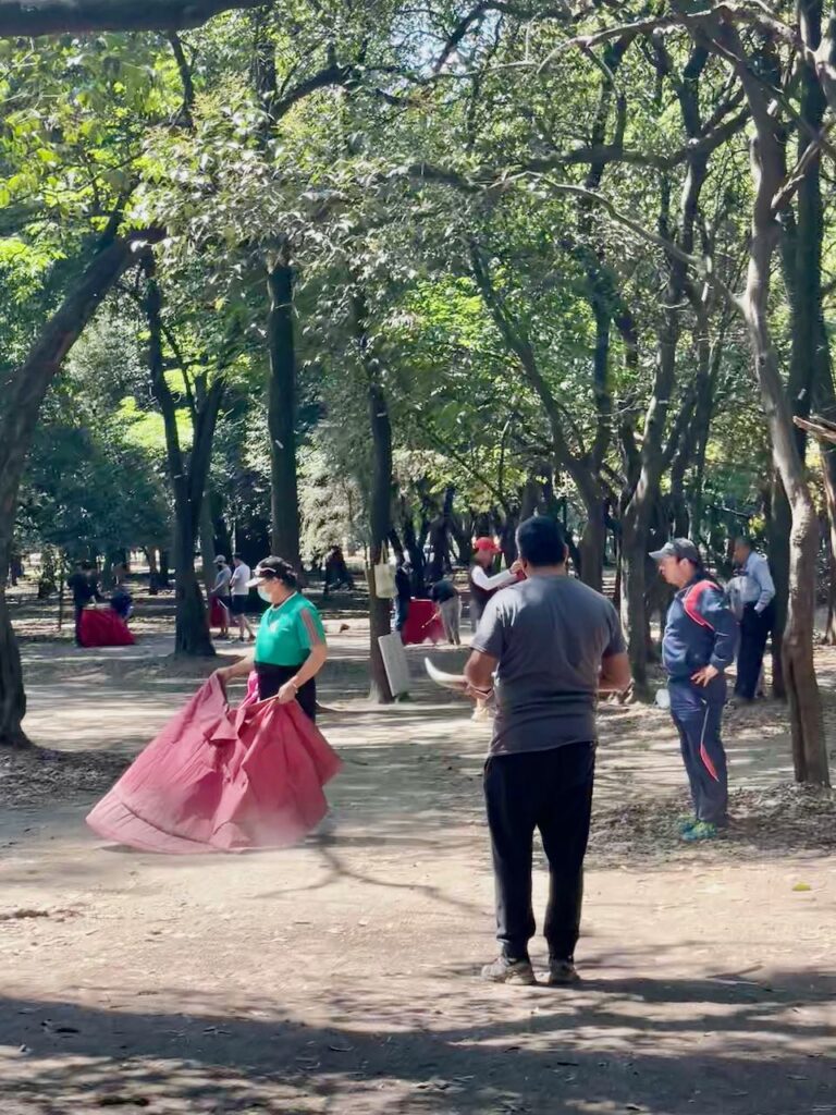 Bullfight Simulation in Parque Gandhi