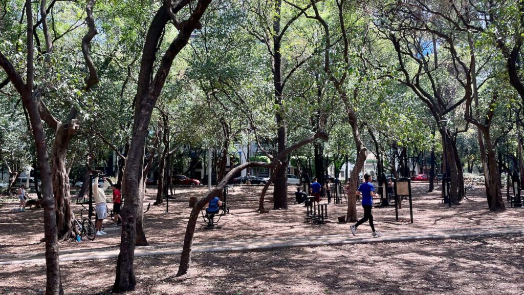 Exercise Machines in Parque Gandhi