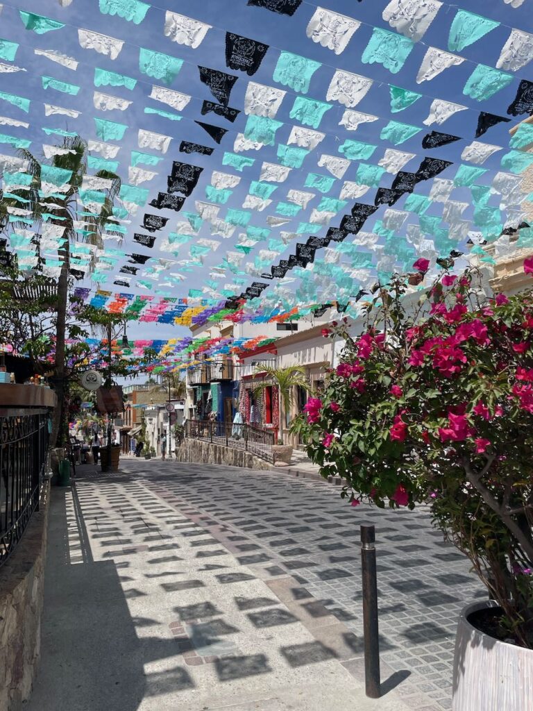 Flags in San Jose del Cabo Centro