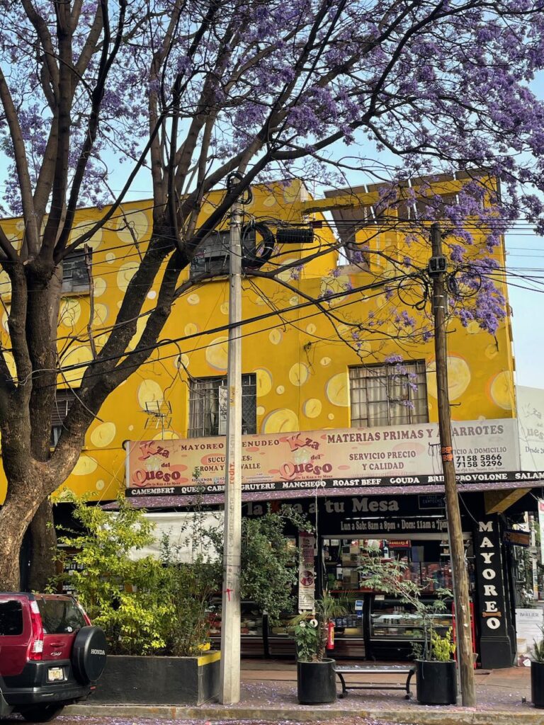 Jacaranda and Yellow Building Roma Sur