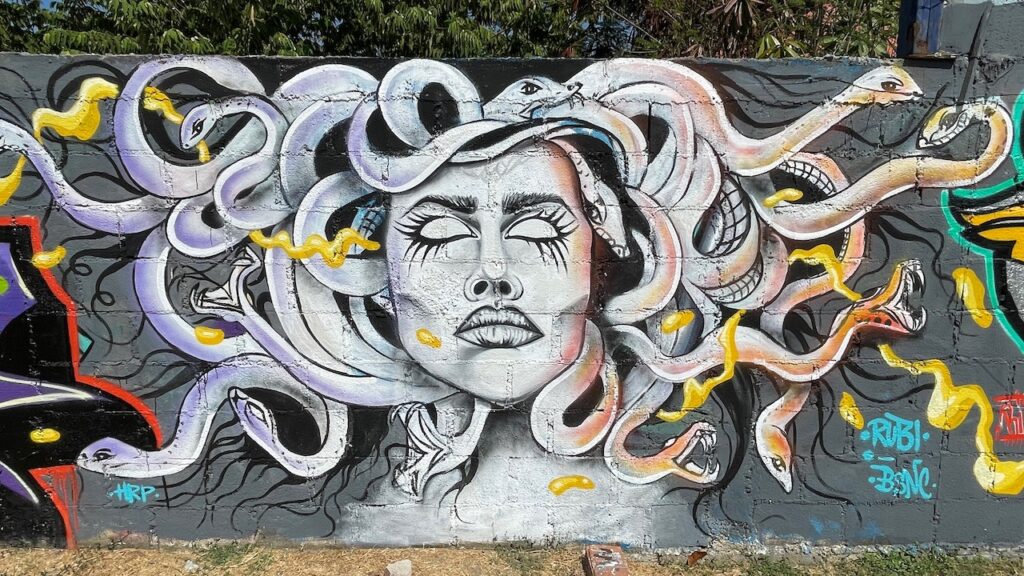 Medusa Wall Art Zihuatanejo Skate Park