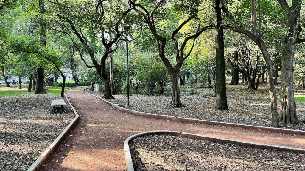 Paths in Parque Gandhi