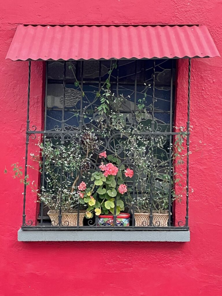 Red Window with Plants Roma Sur