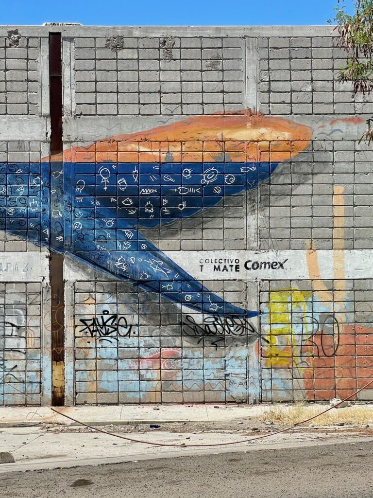 Whale Tail Wall Art, La Paz Mexico