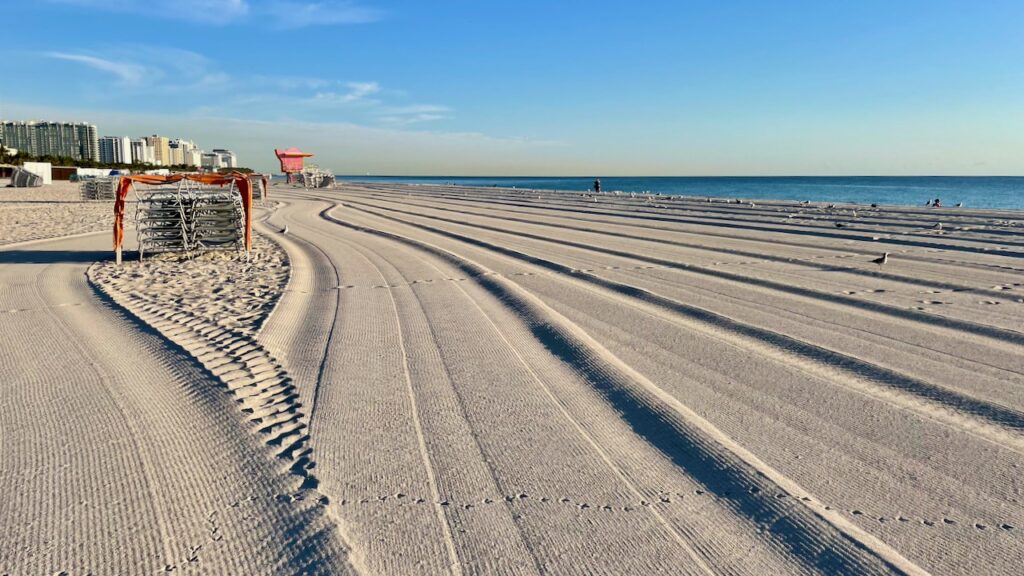 Manicured Beach South Beach Miami