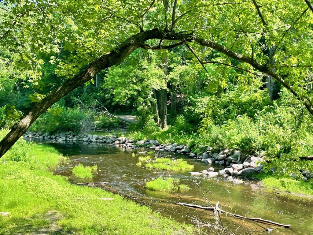 Minnehaha Creek