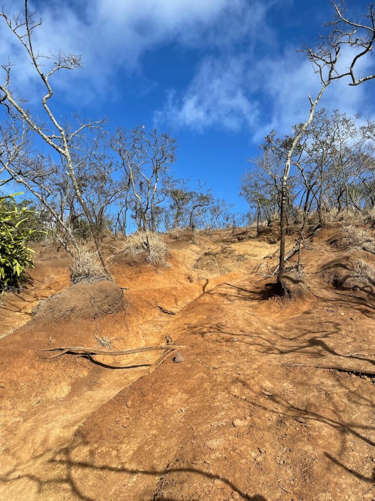 Pillbox Hike Ascent Kailua