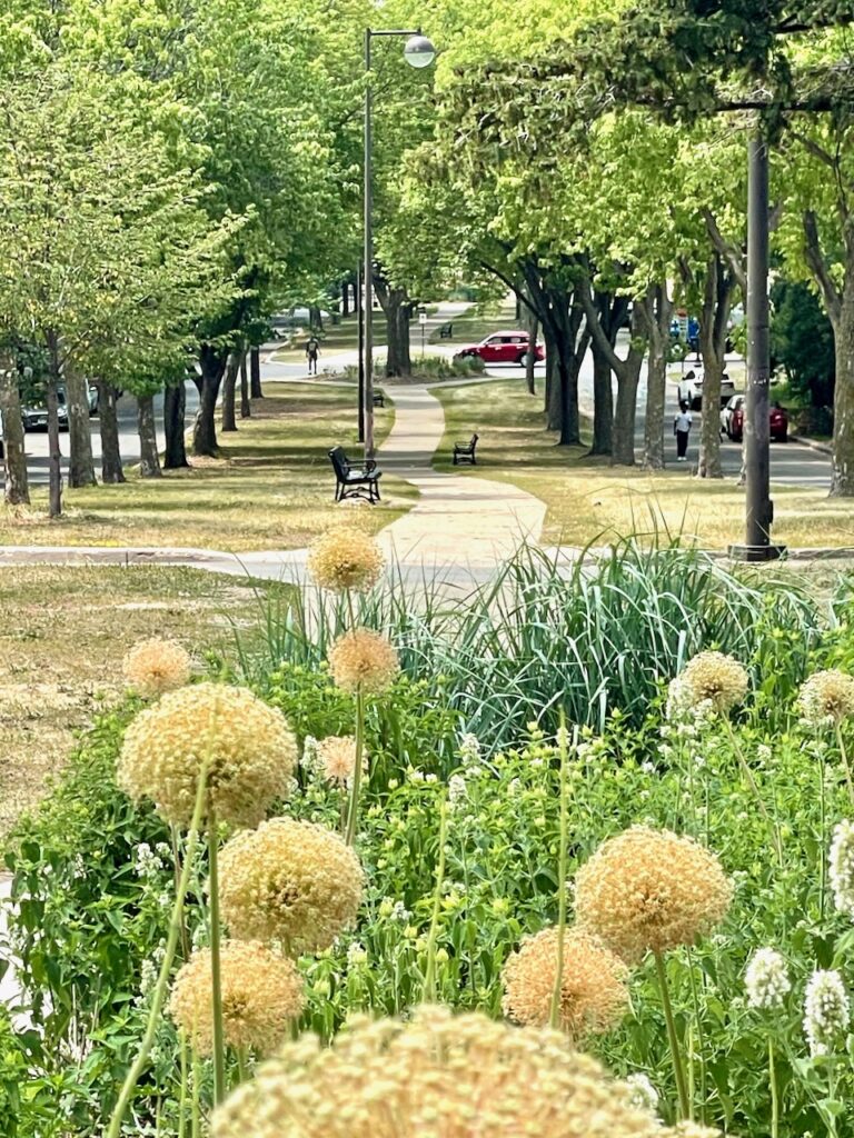 The Mall Park Uptown Minneapolis