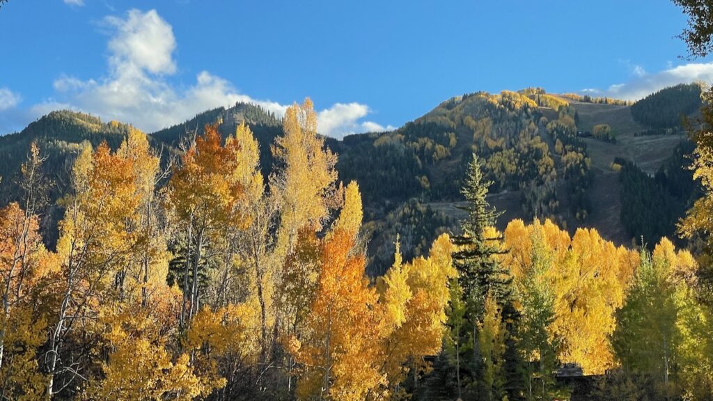 Colors and Mountains Aspen Colorado