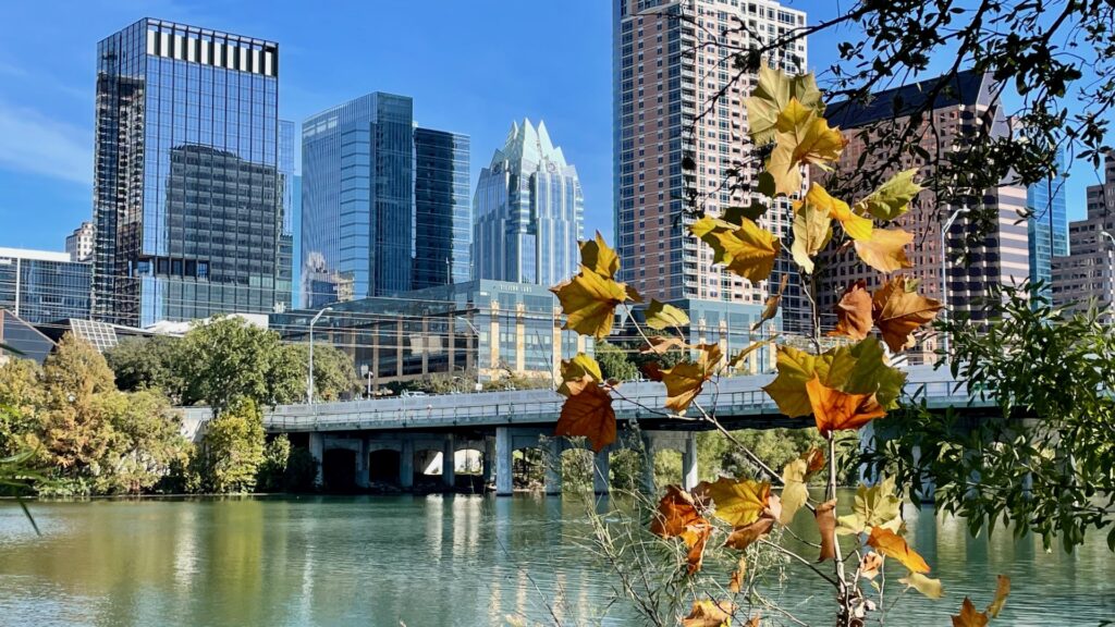 Downtown Over Lady Bird Lake and Leaves Austin