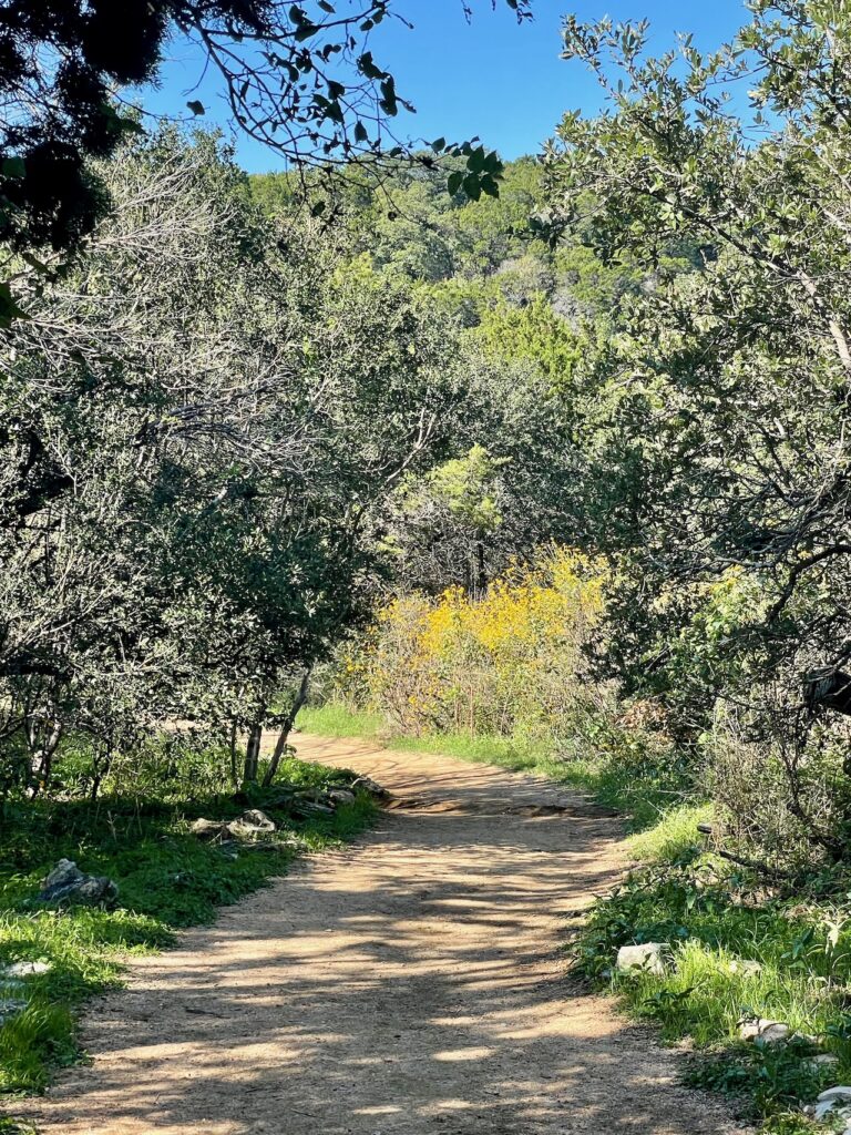 Gus Fruh Trail Austin