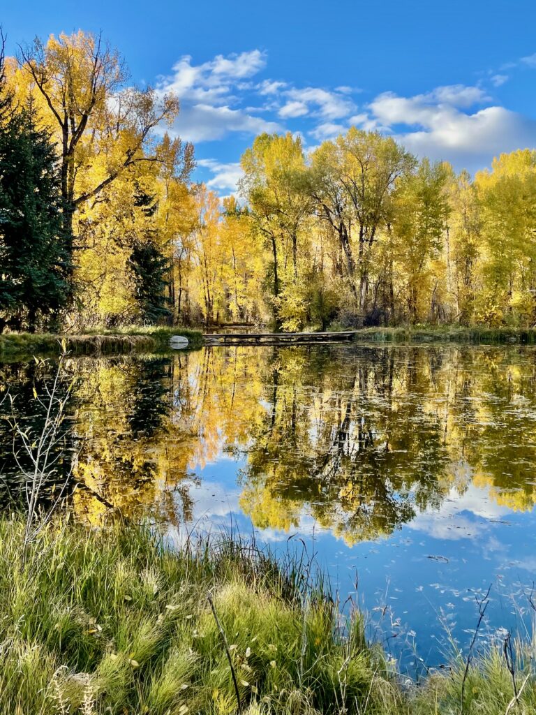 Pond near Hunter Creek Trail Aspen Colorado