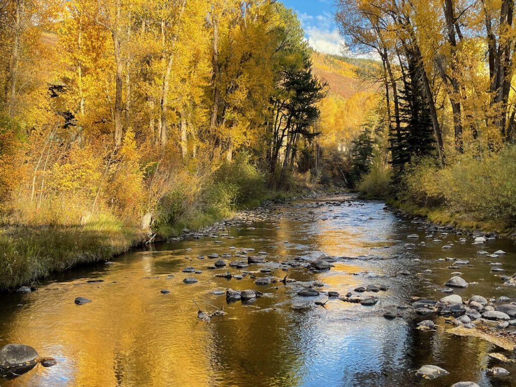 Roaring Fork River Fall Colors Aspen Colorado