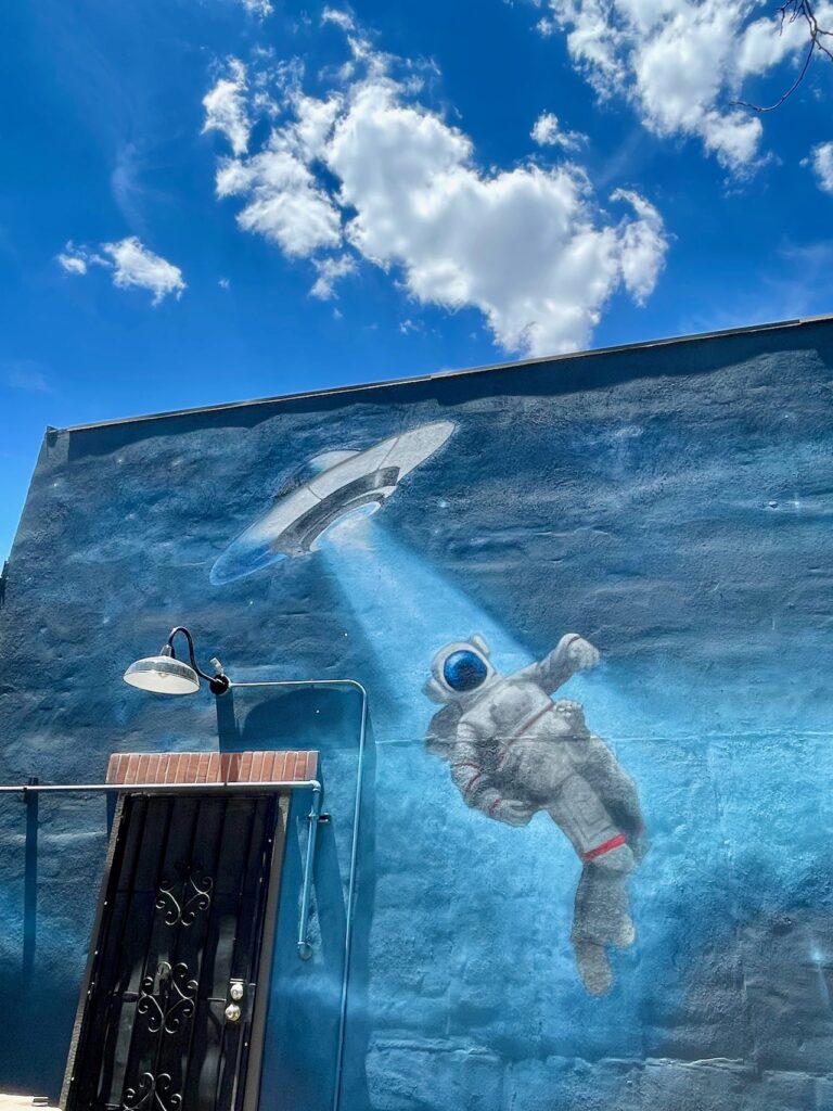 UFO Wall Art at Dark Sky Brewing Flagstaff