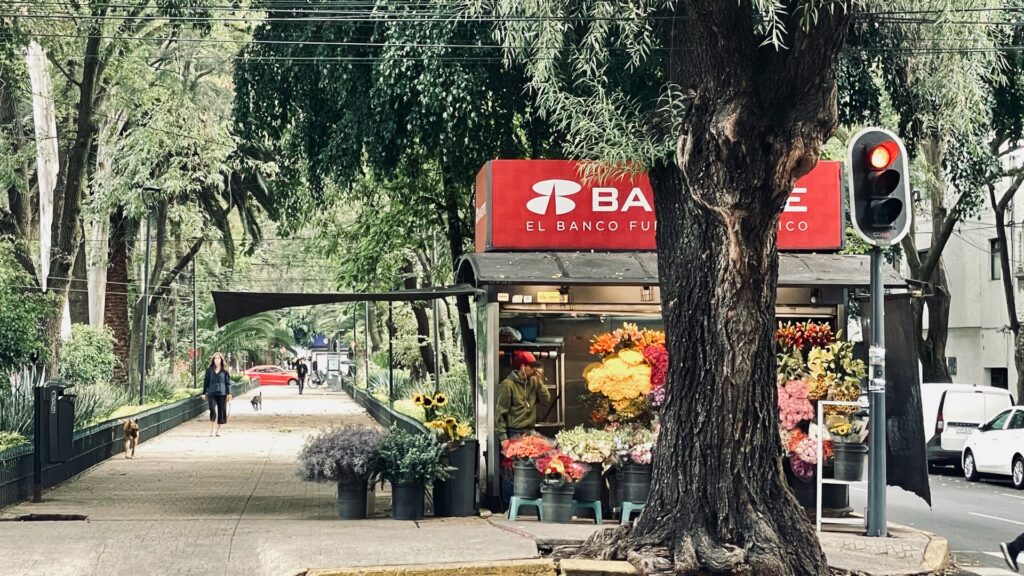 Avenida Mazatlan Condesa