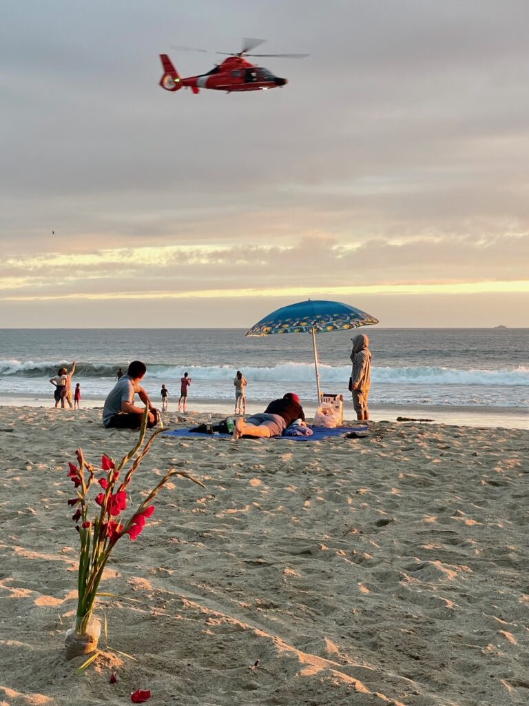 Helicopter and flowers at Santa Monica Beach