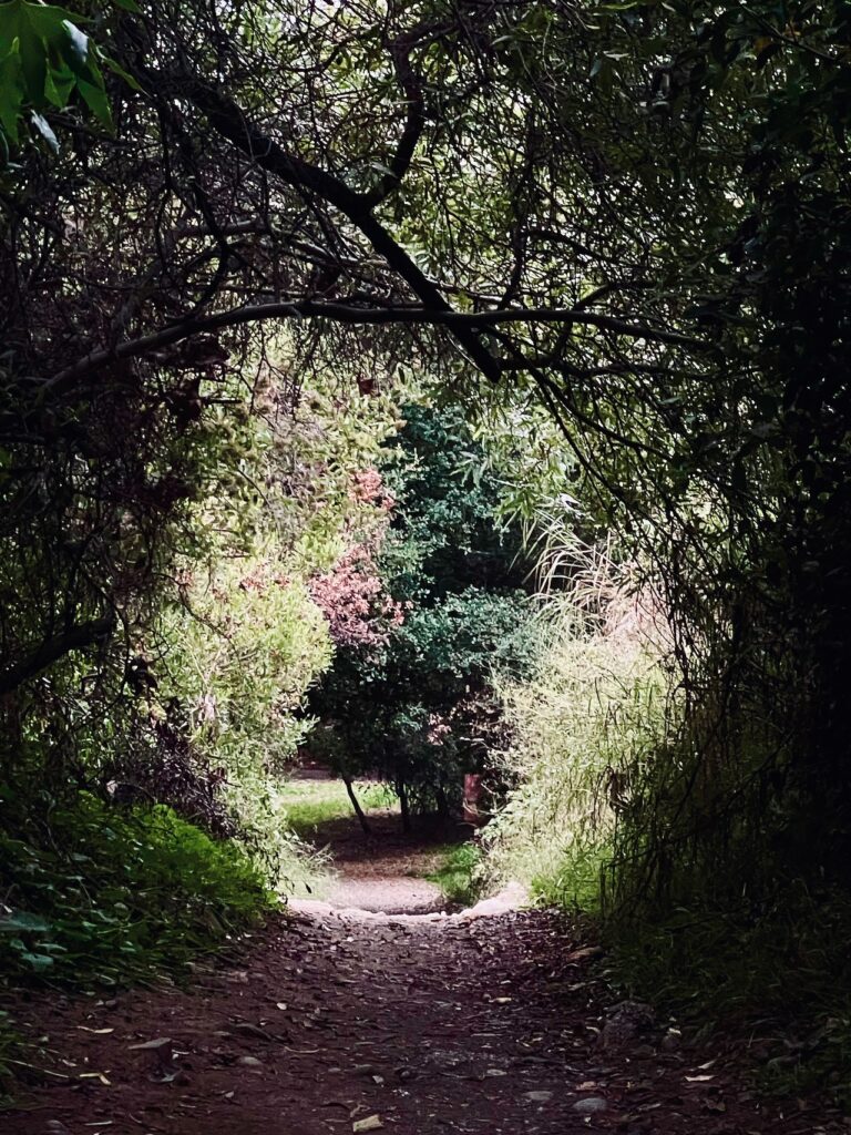 Light at the end of the tunnel Temescal Canyon