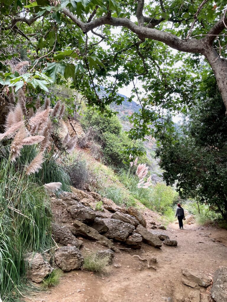 Temescal Canyon trail near waterfalls