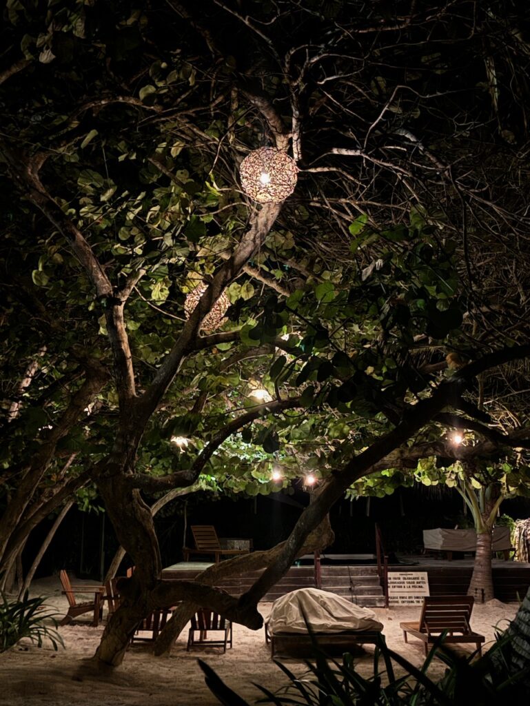 Lights in the trees Villa Pescadores