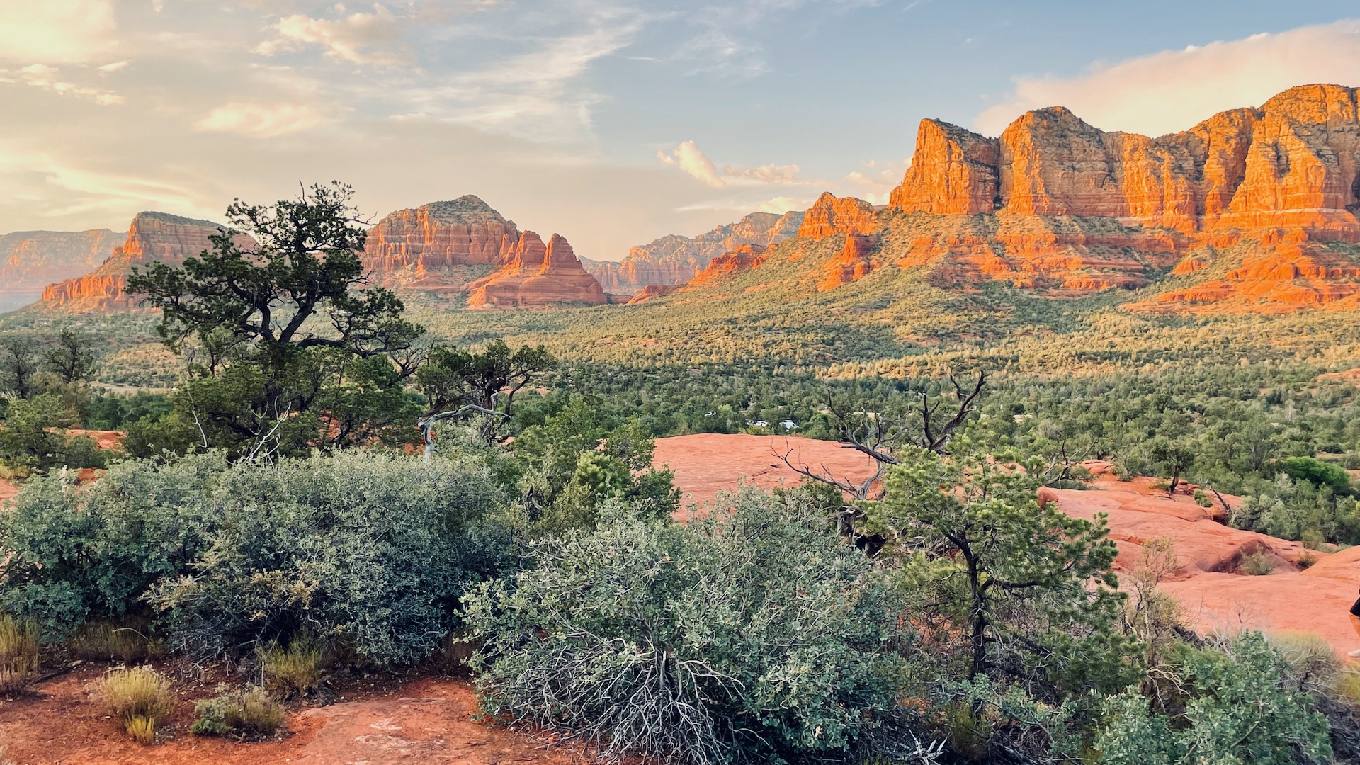 Sedona cliffs and shrubs